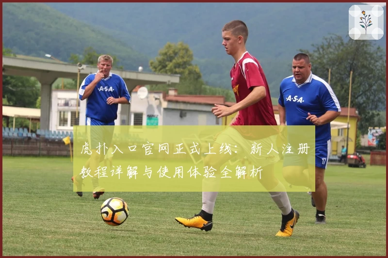 虎扑入口官网正式上线:新人注册教程详解与使用体验全解析