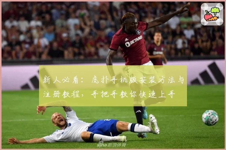 新人必看：虎扑手机版安装方法与注册教程，手把手教你快速上手