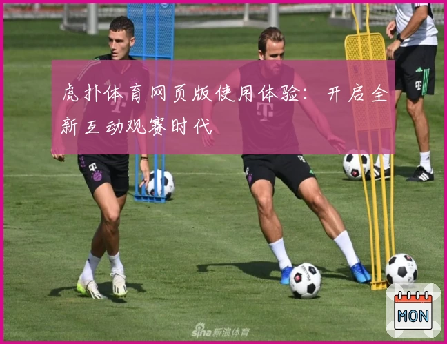 虎扑体育网页版使用体验：开启全新互动观赛时代